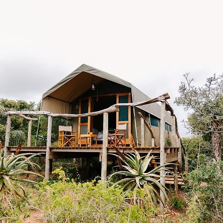 Woodbury Tented Camp - アマカーラ・ゲーム・リザーブ エクステリア 写真