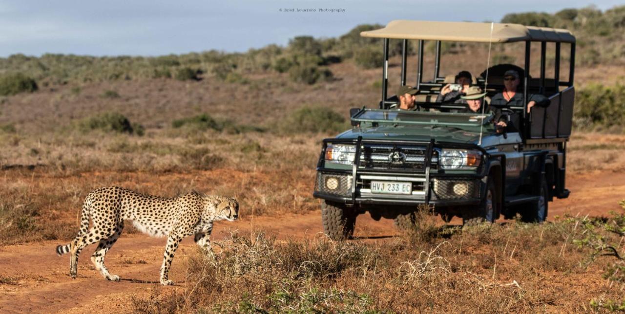 Woodbury Tented Camp - アマカーラ・ゲーム・リザーブ エクステリア 写真