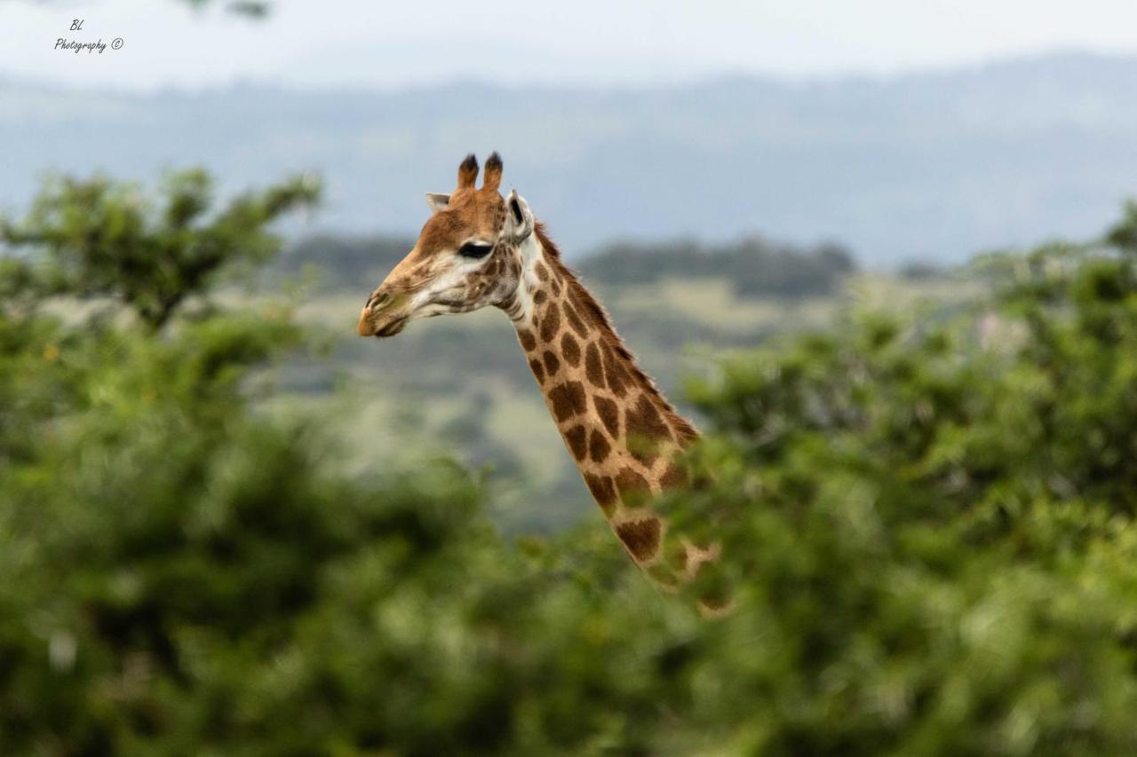 Woodbury Tented Camp - アマカーラ・ゲーム・リザーブ エクステリア 写真