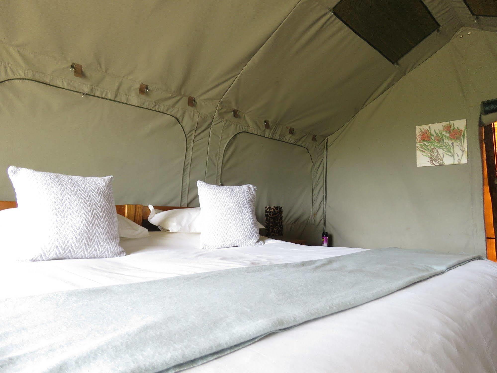 Woodbury Tented Camp - アマカーラ・ゲーム・リザーブ エクステリア 写真