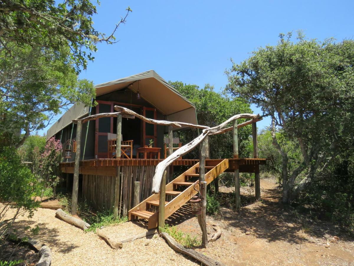 Woodbury Tented Camp - アマカーラ・ゲーム・リザーブ エクステリア 写真
